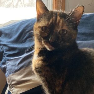 Meet your Posher, Dan